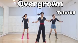 teach thumbnail