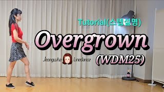 teach thumbnail