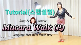 teach thumbnail